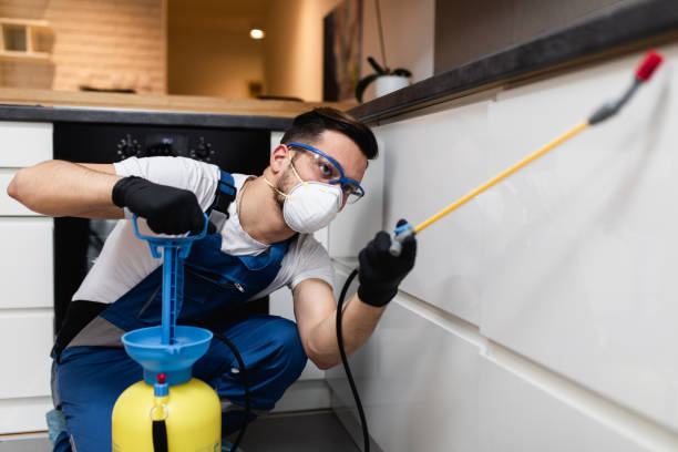 Best Pest Prevention Services  in La Vernia, TX