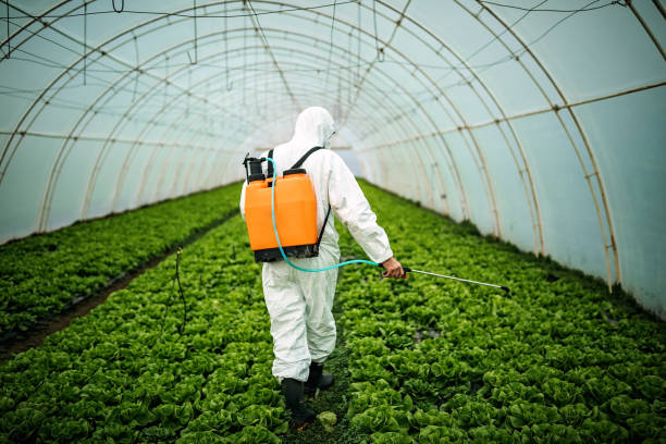 Pest Control Cost in La Vernia, TX