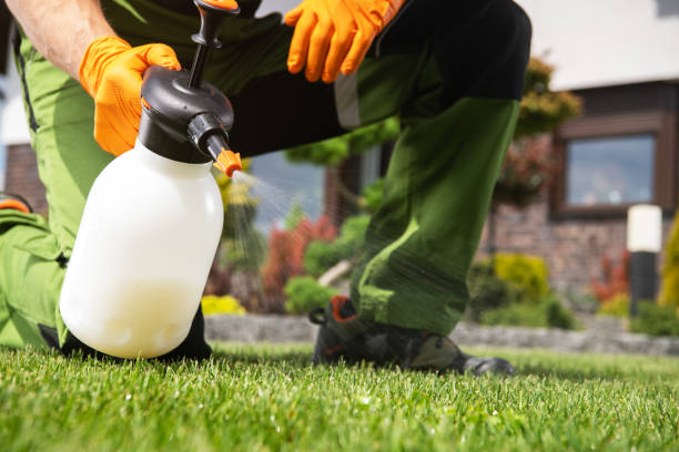 Best Termite Control Services  in La Vernia, TX