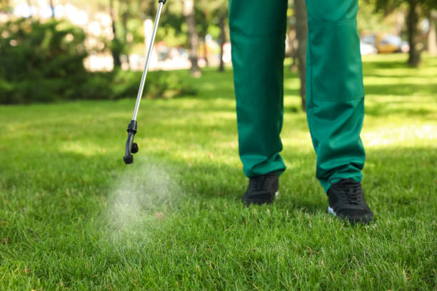 Best Flea Control Services  in La Vernia, TX