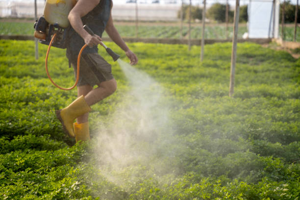 Best Mosquito Control Services  in La Vernia, TX