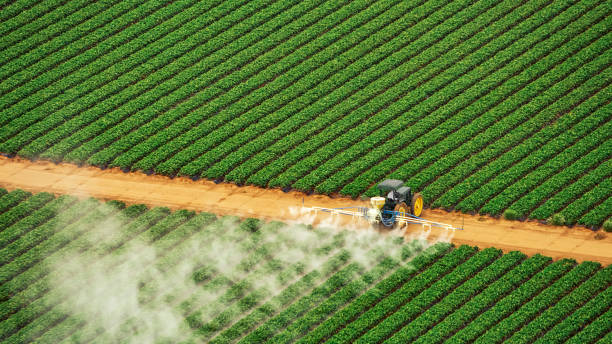 Best Best Pest Control Companies  in La Vernia, TX