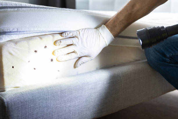 Reliable La Vernia, TX Pest Control Solutions