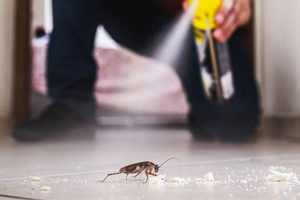Best Wildlife Control Services  in La Vernia, TX