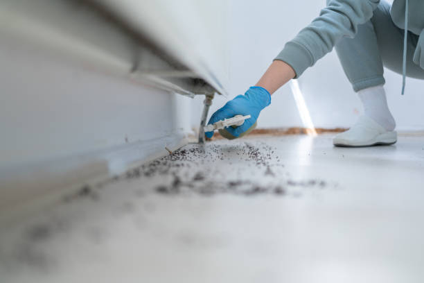 Best Pest Prevention Services  in La Vernia, TX